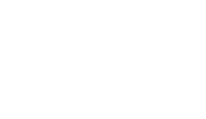 Modèle B.T.