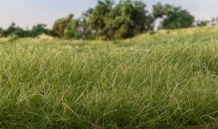 Chargez l&#39;image dans la visionneuse de la galerie, Woodland Scenics Static Grass Medium Green 1/16&quot; 2mm Fibers
