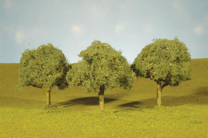 Bachmann Oaks Trees - 3